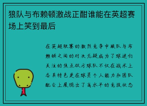 狼队与布赖顿激战正酣谁能在英超赛场上笑到最后