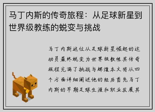 马丁内斯的传奇旅程：从足球新星到世界级教练的蜕变与挑战