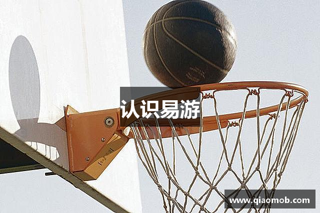 认识易游